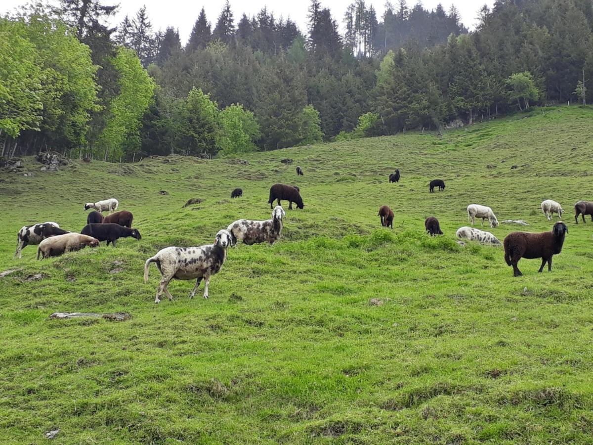 Stallerhof Hüttschlag Zewnętrze zdjęcie